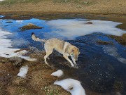 19 Bella fresca quest'acqua con la neve